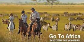   Africa Safari 