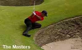 Tiger wood