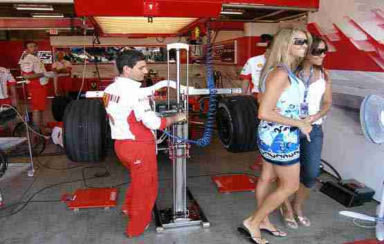 Belgian paddock