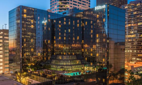   Hilton tampa